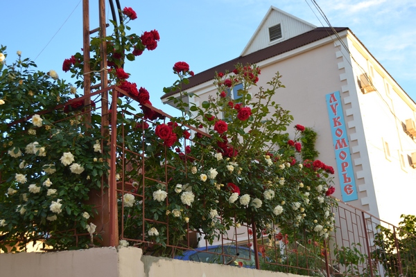 Аренда жилья в Крыму без посредников
